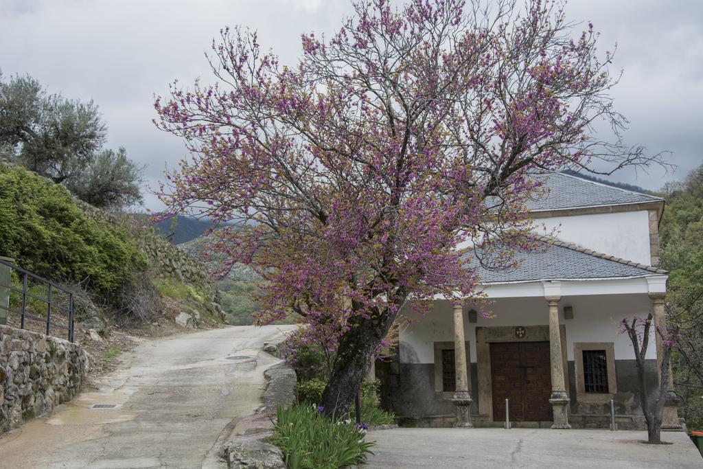 Casa Rural Fuente El Boticario Aldeanueva de la Vera エクステリア 写真