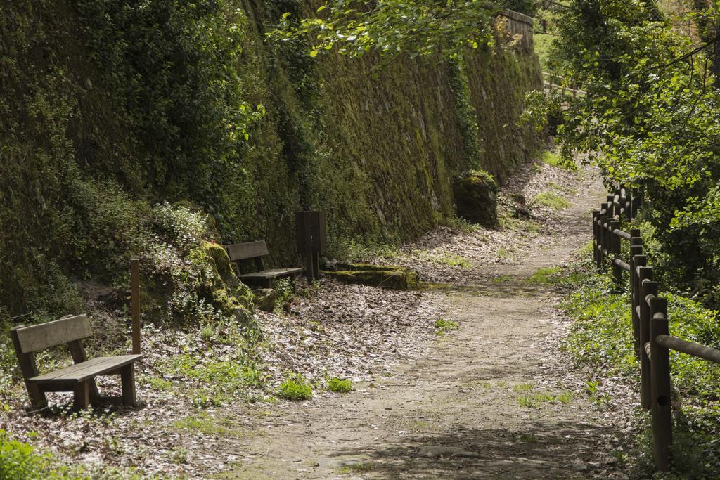 Casa Rural Fuente El Boticario Aldeanueva de la Vera エクステリア 写真